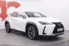 Lexus UX 250h Business Thumbnail 7